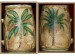 palmy džbánik.jpg